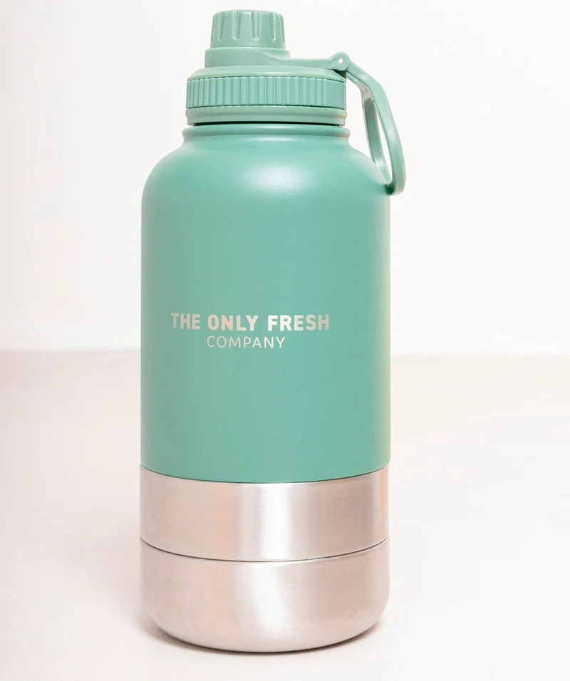 Portable water bottle