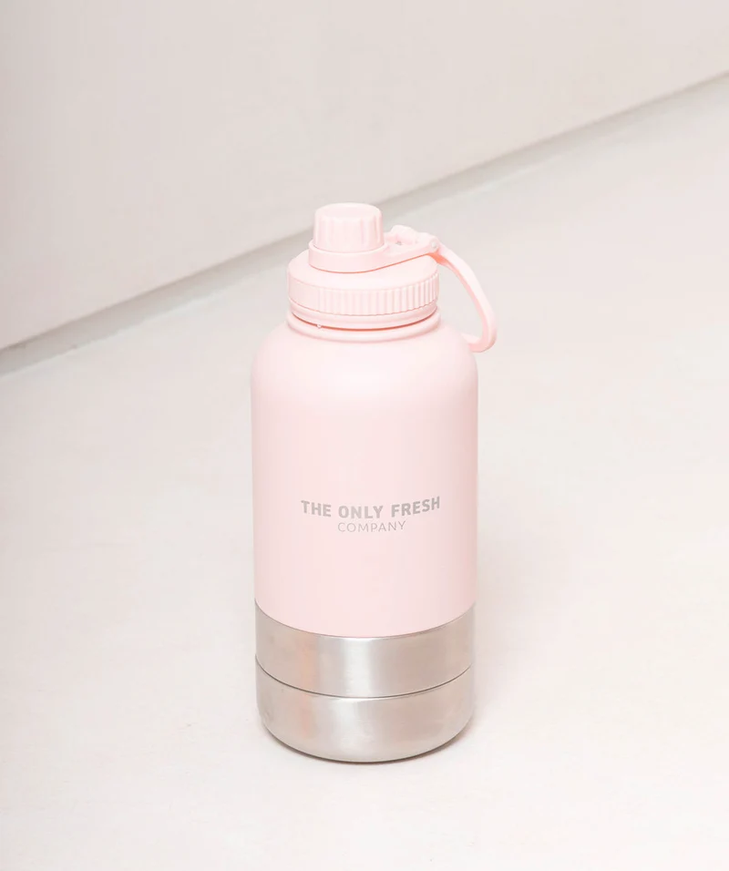 Portable water bottle
