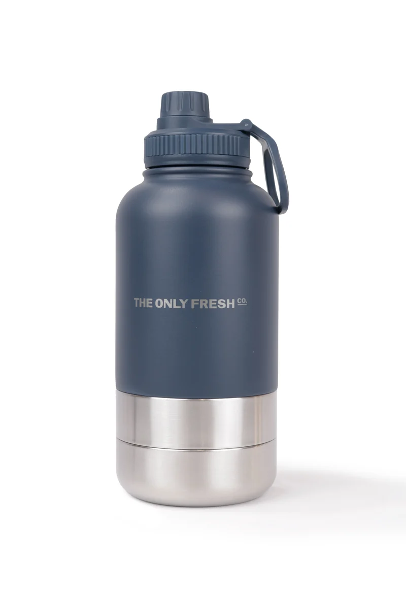Portable water bottle