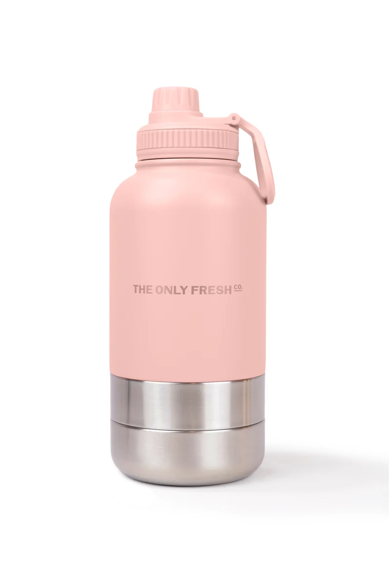 Portable water bottle