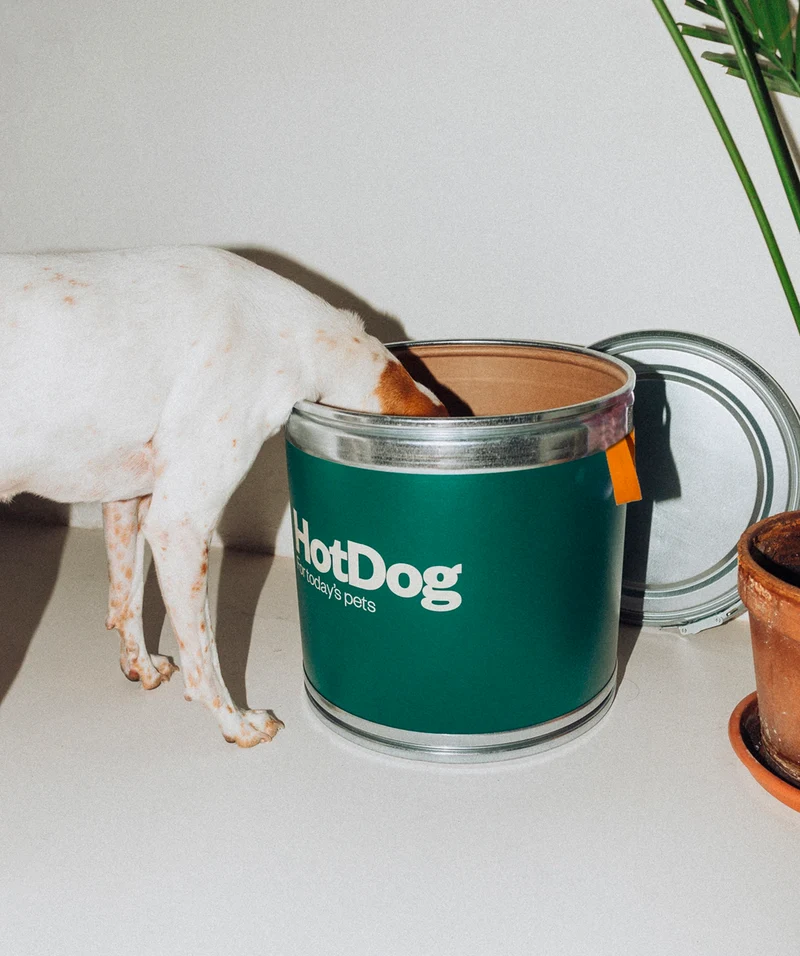 Food canister