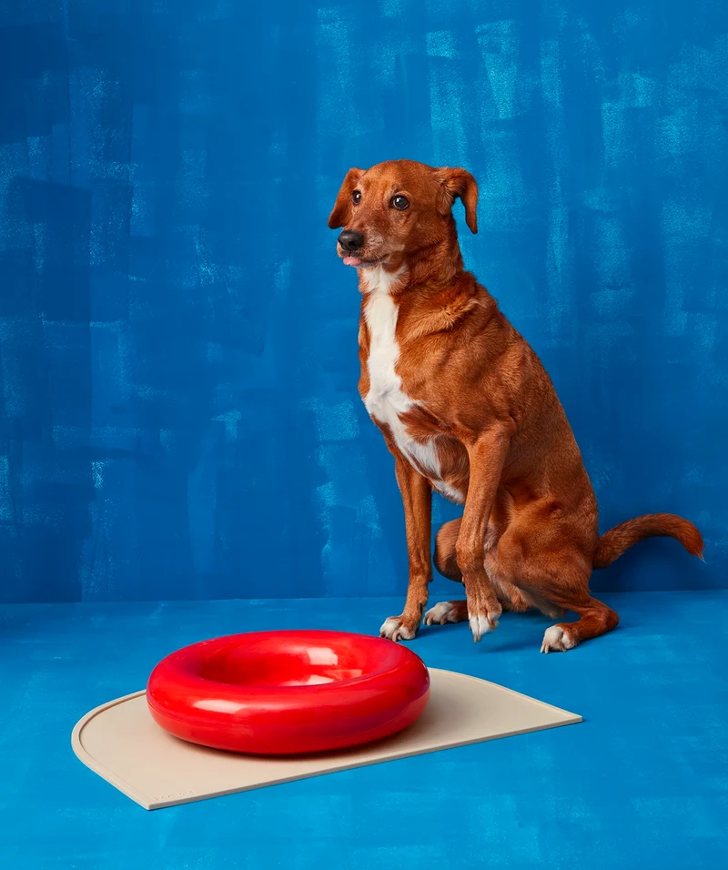Ceramic Bowl - Red
