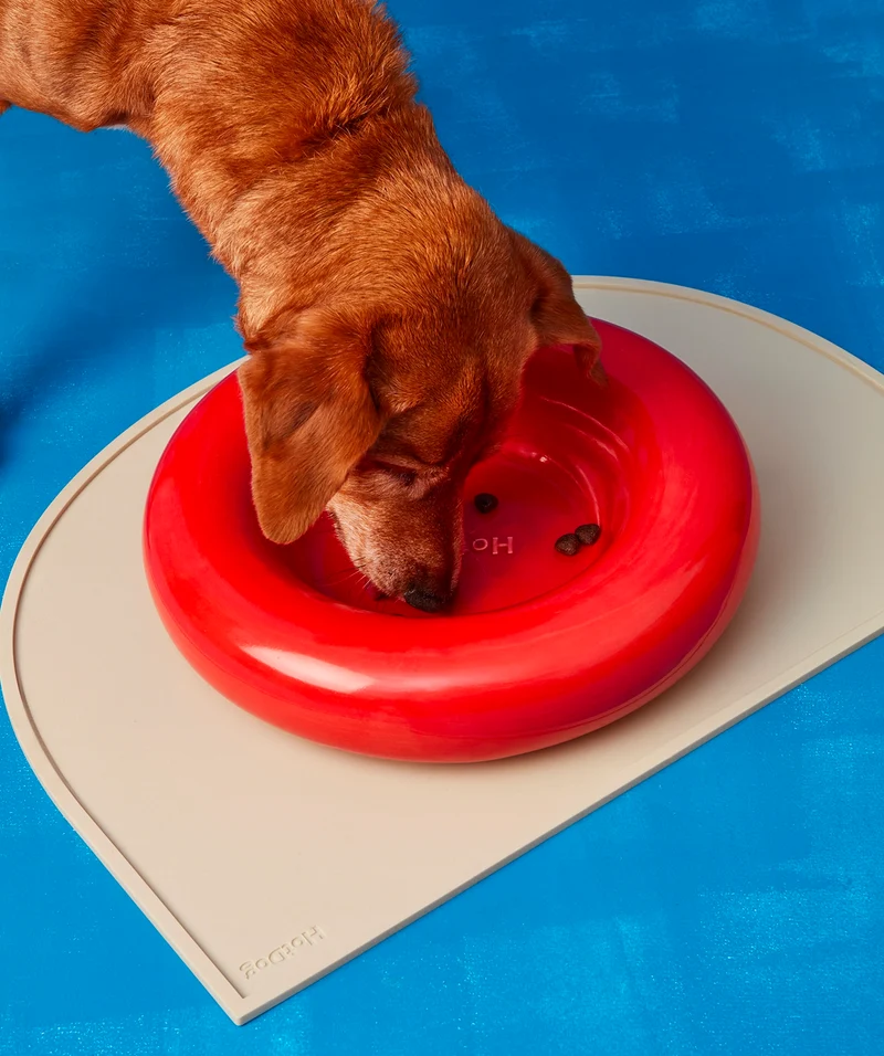 Ceramic Bowl - Red