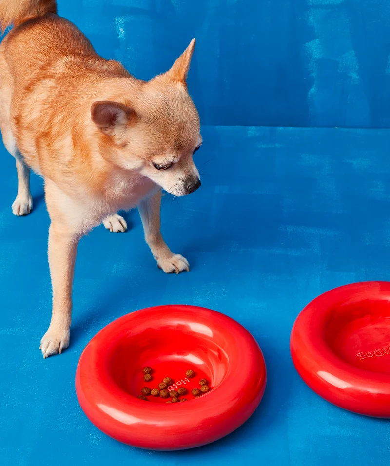 Ceramic Bowl - Red