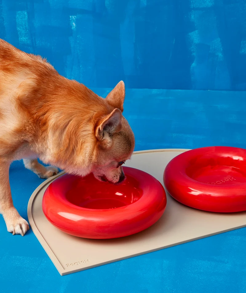 Ceramic Bowl - Red