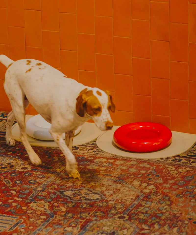 Ceramic Bowl - Red