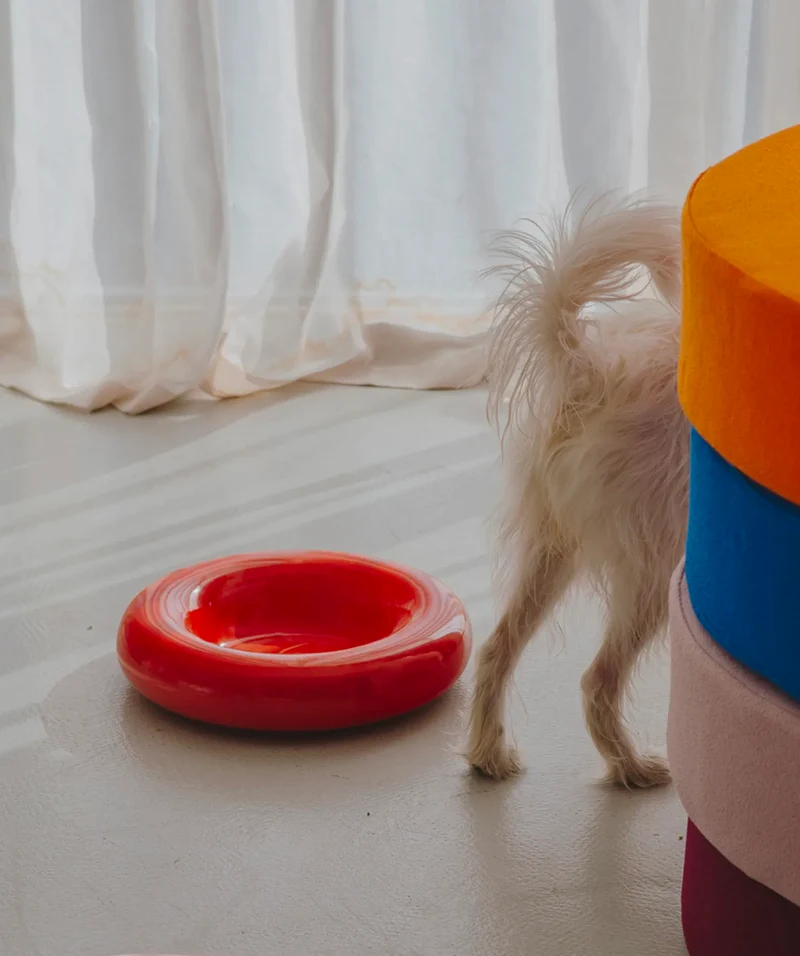 Ceramic Bowl - Red