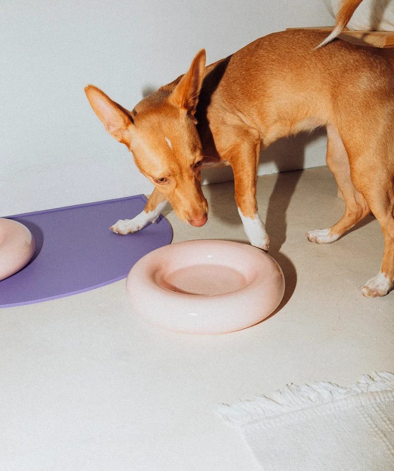 Ceramic Bowl - Pink
