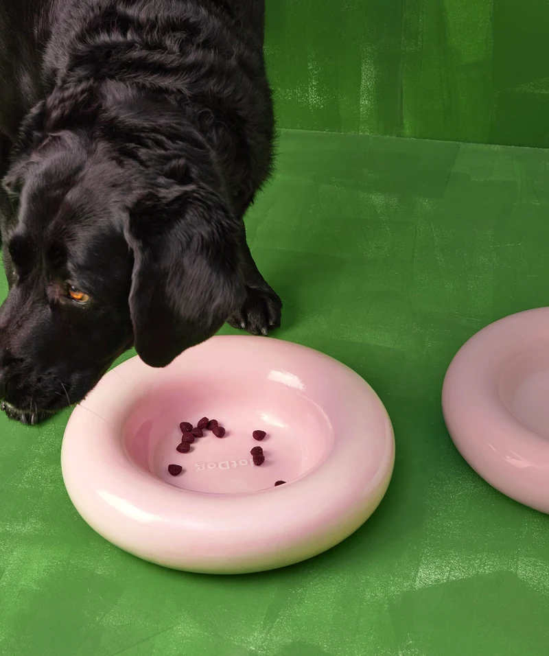 Ceramic Bowl - Pink