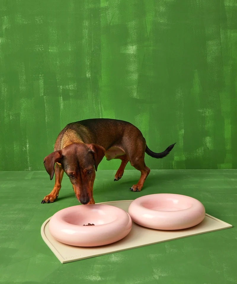 Ceramic Bowl - Pink