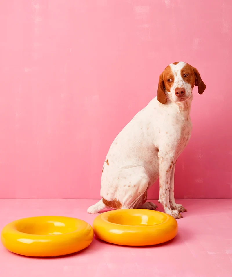 Ceramic Bowl - Yellow