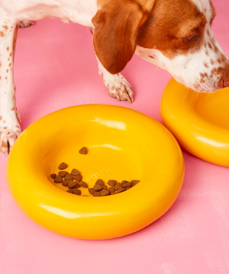 Ceramic Bowl - Yellow