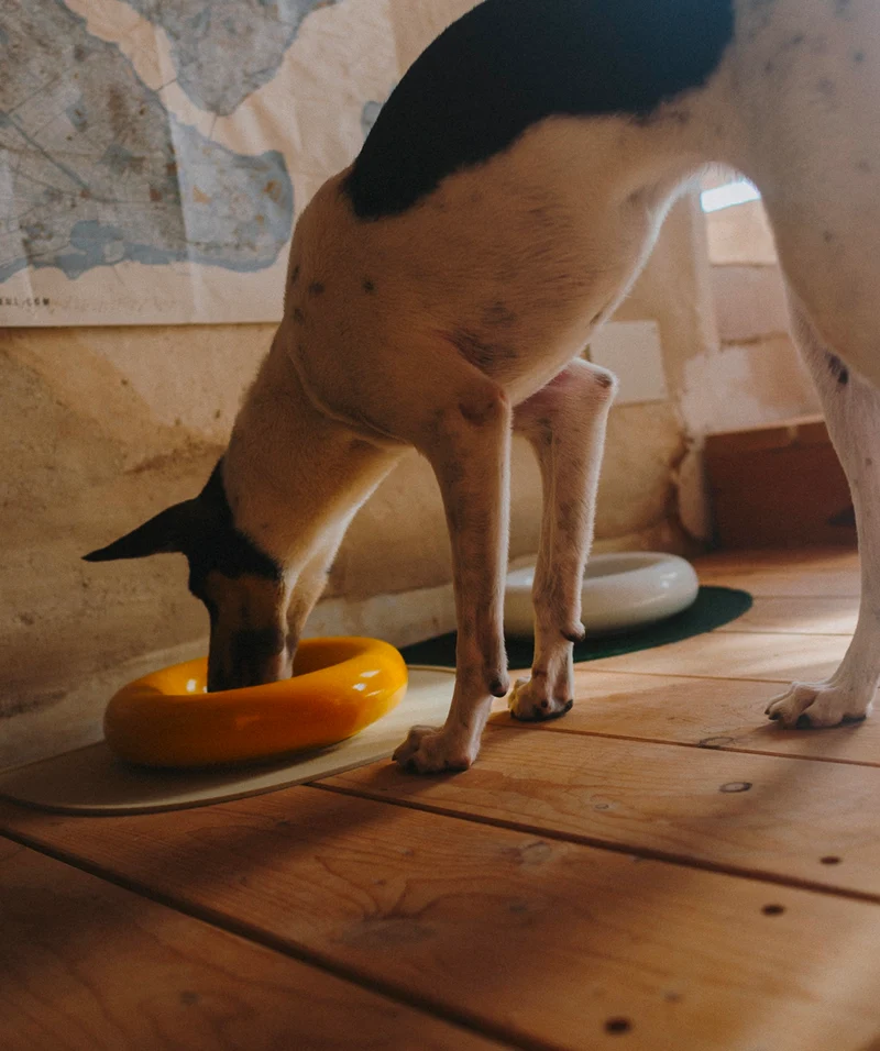 Ceramic Bowl - Yellow