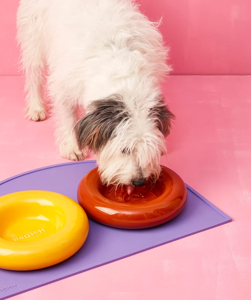 Ceramic Bowl - Yellow