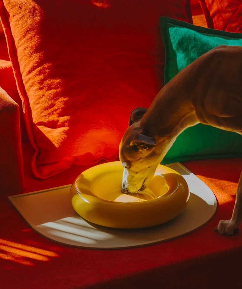Ceramic Bowl - Yellow