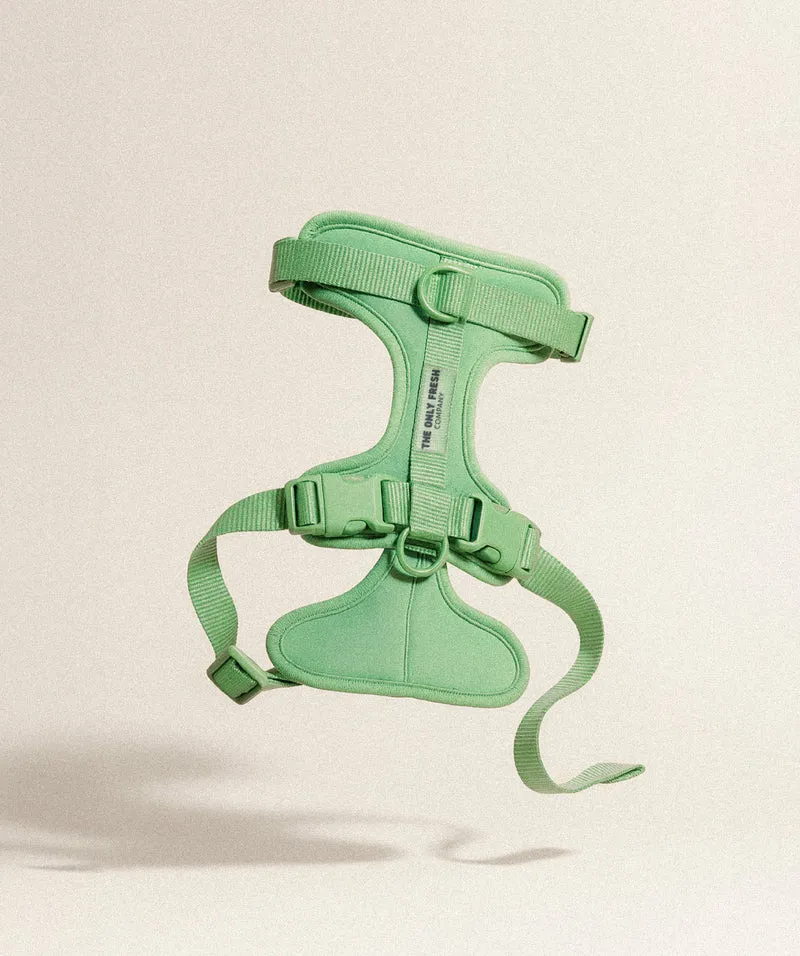 Smart Harness - Green