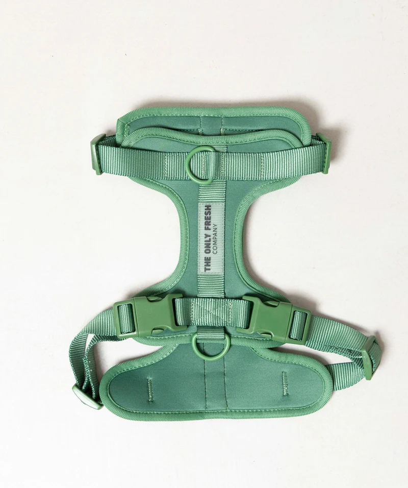 Smart Harness - Green