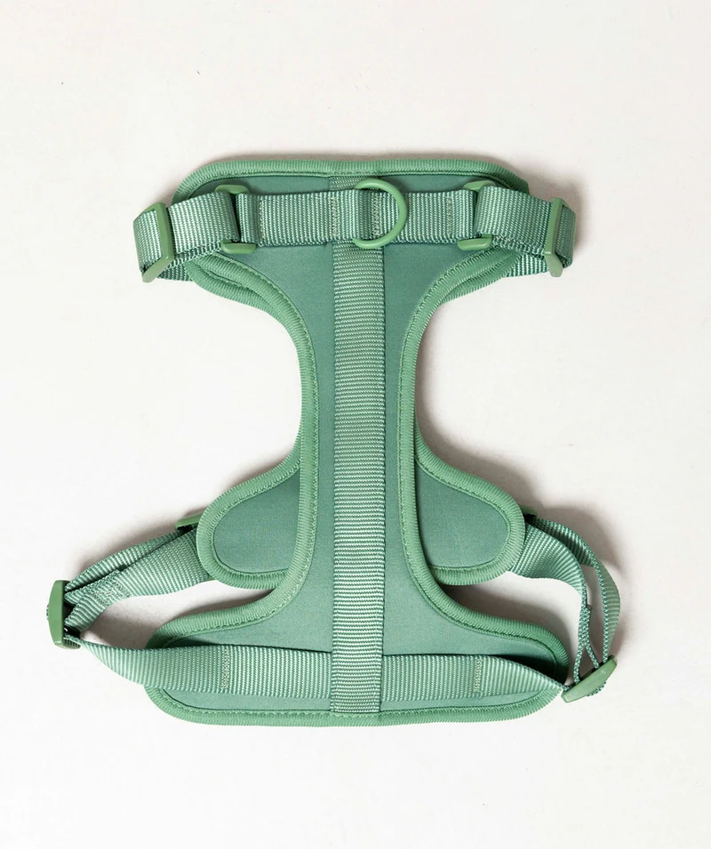 Smart Harness - Green
