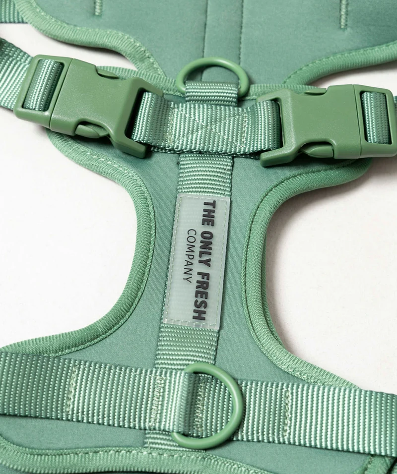 Smart Harness - Green