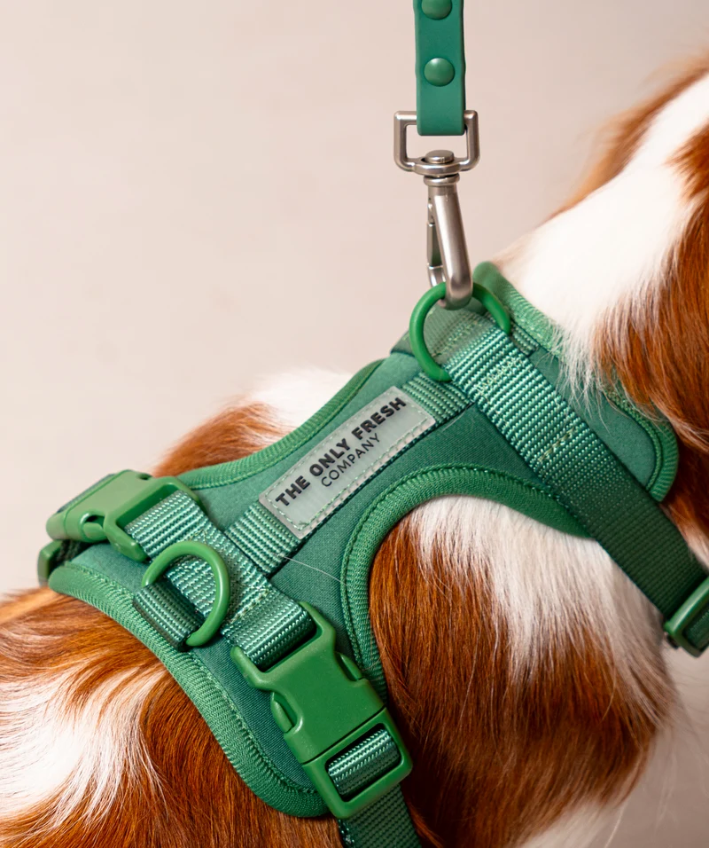 Smart Harness - Green