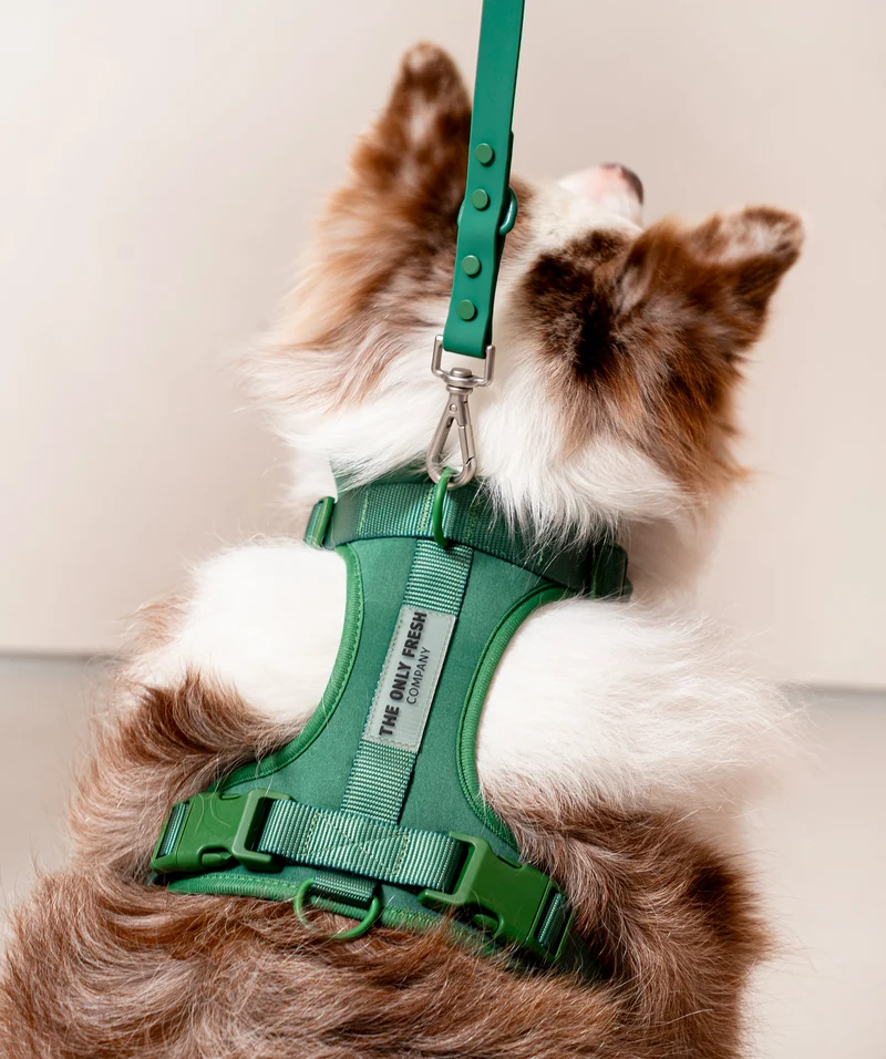 Smart Harness - Green