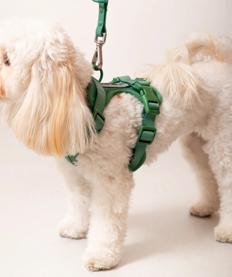 Smart Harness - Green