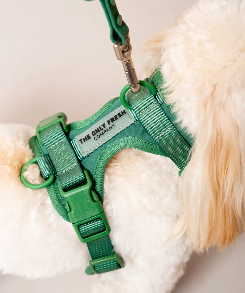 Smart Harness - Green