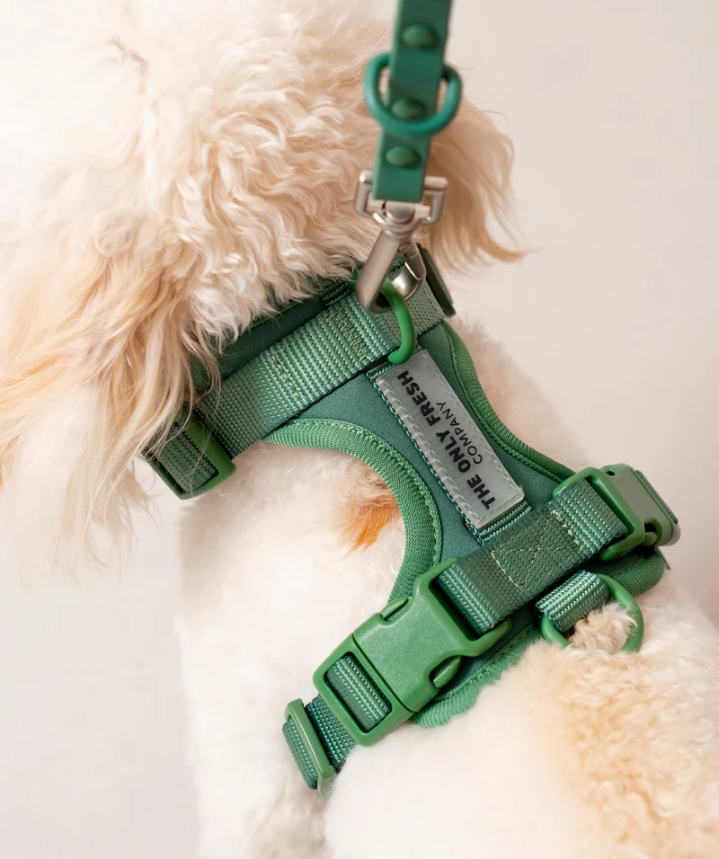 Smart Harness - Green