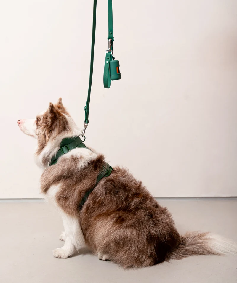 Smart Harness - Green