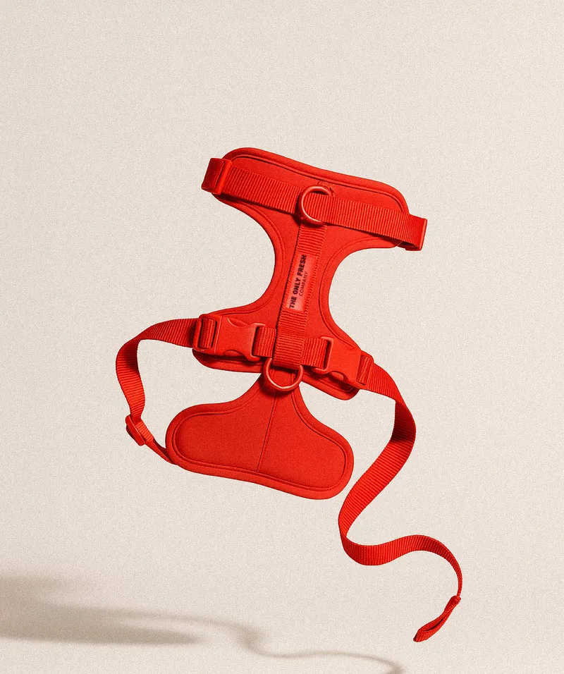 Smart Harness - Red