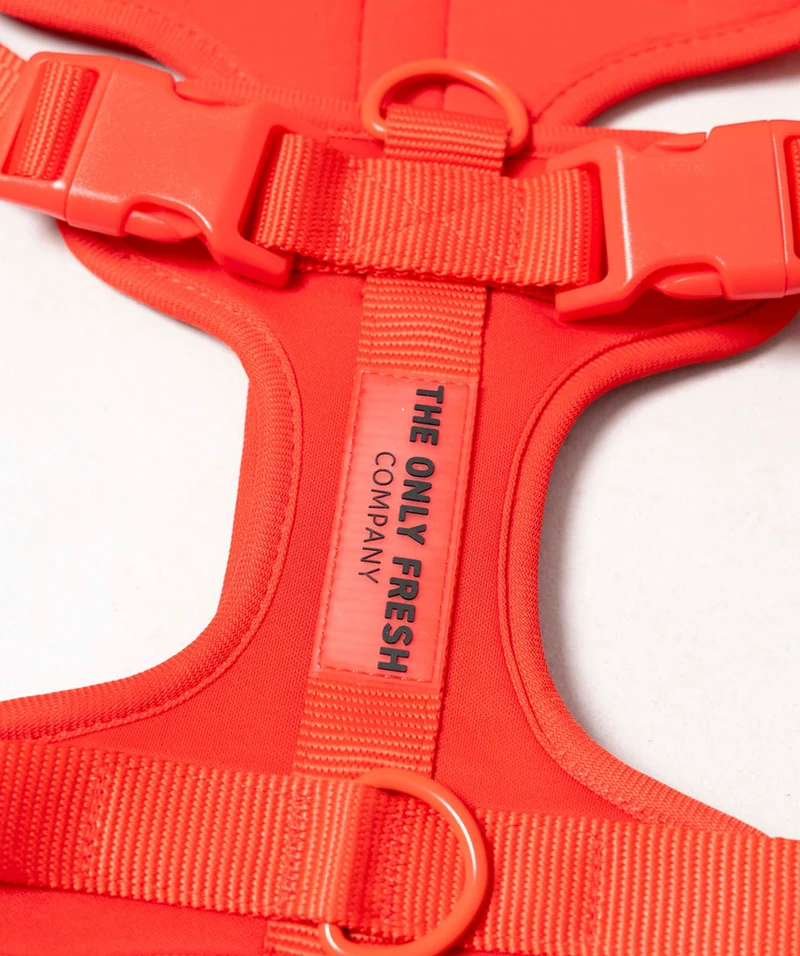 Smart Harness - Red