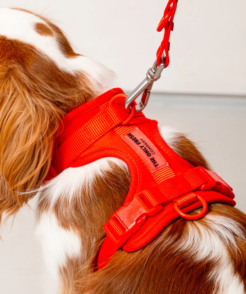 Smart Harness - Red