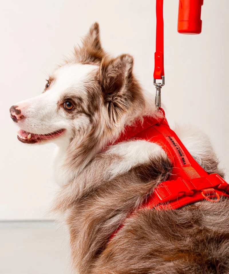 Smart Harness - Red
