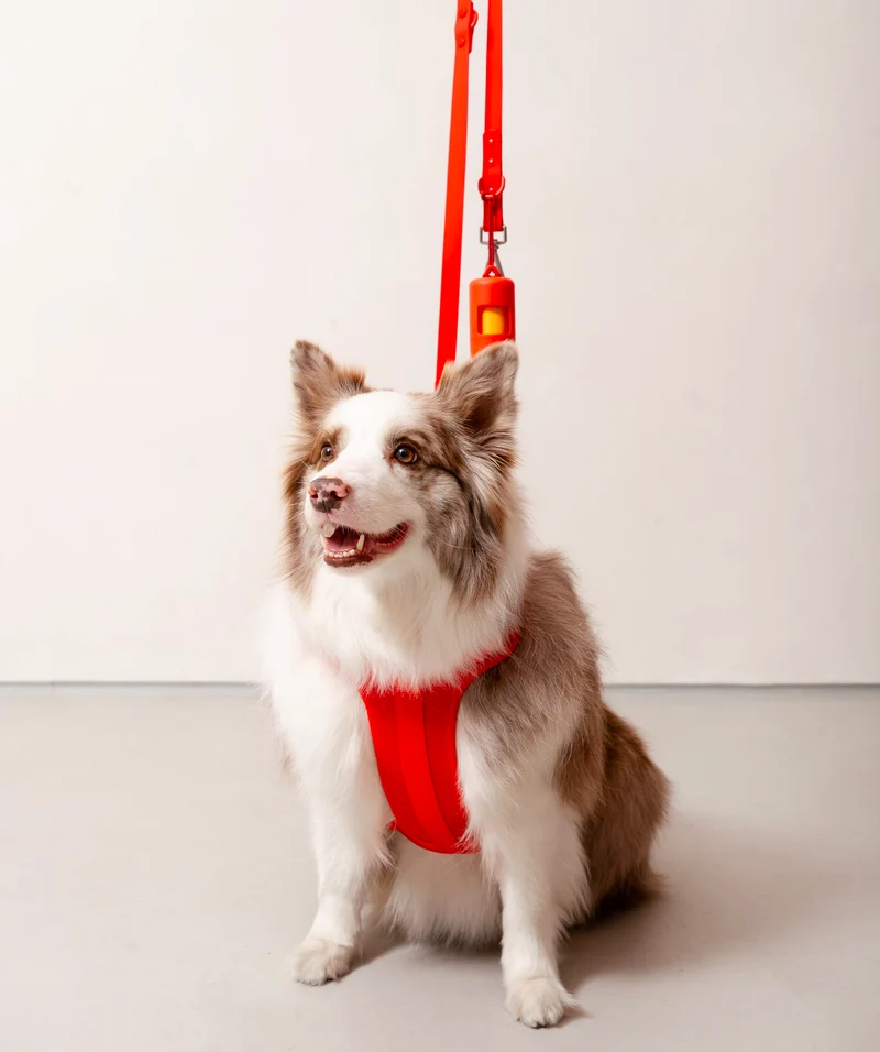 Smart Harness - Red