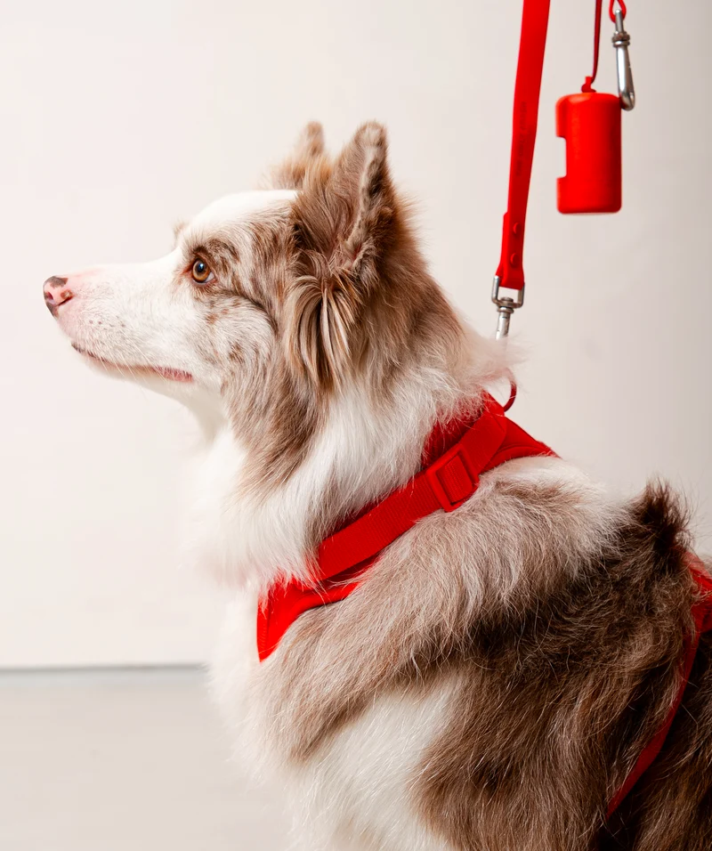 Smart Harness - Red