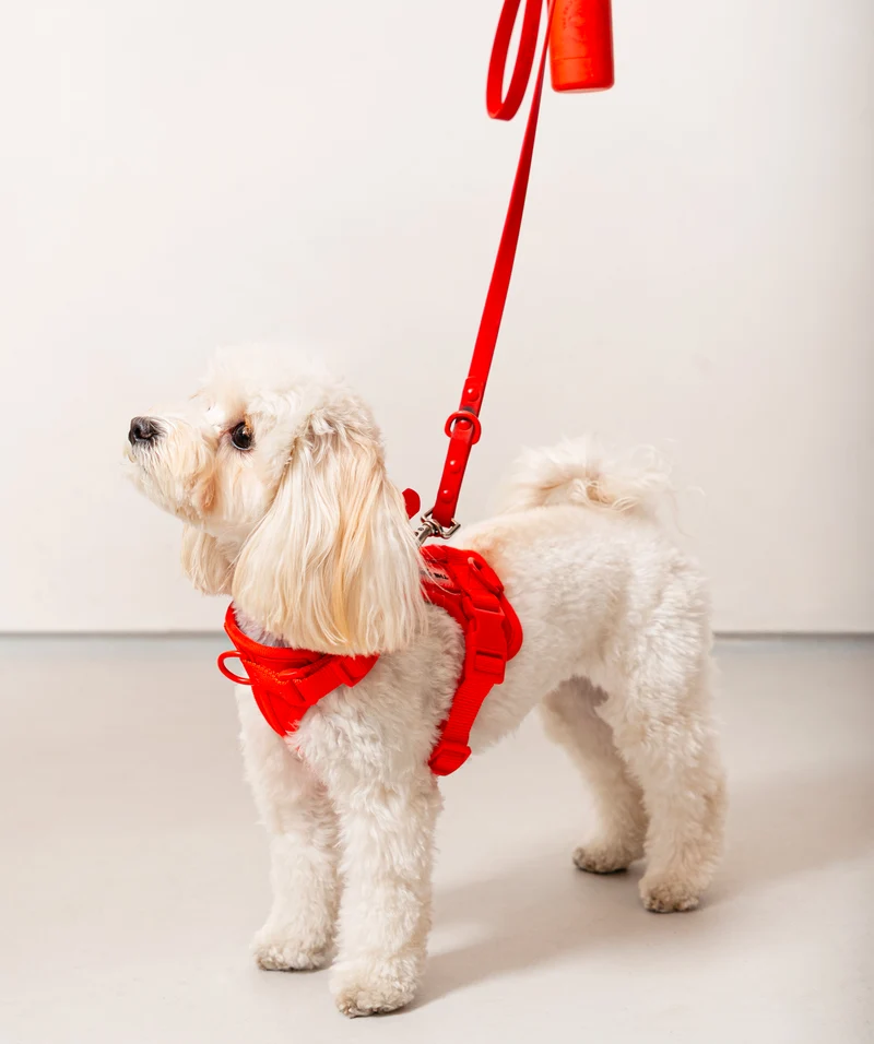 Smart Harness - Red