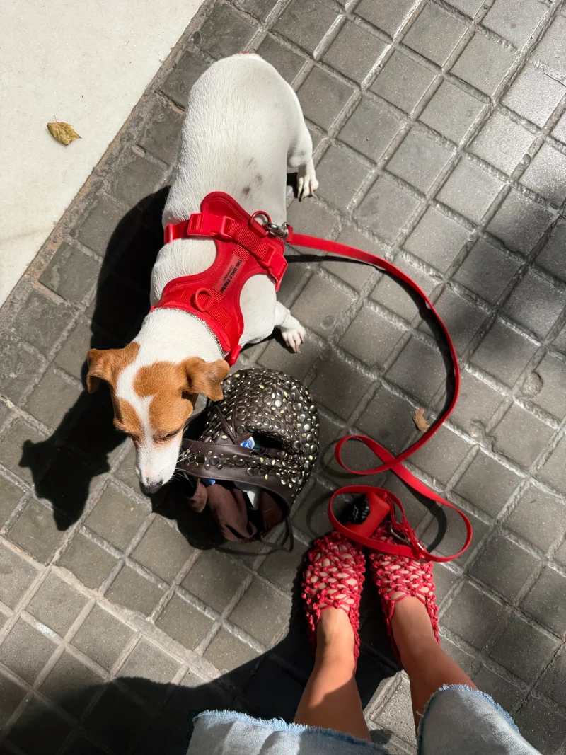 Smart Harness - Red