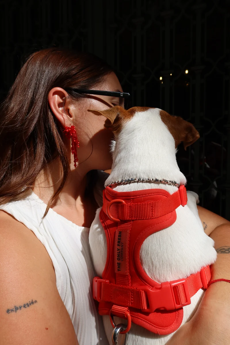 Smart Harness - Red