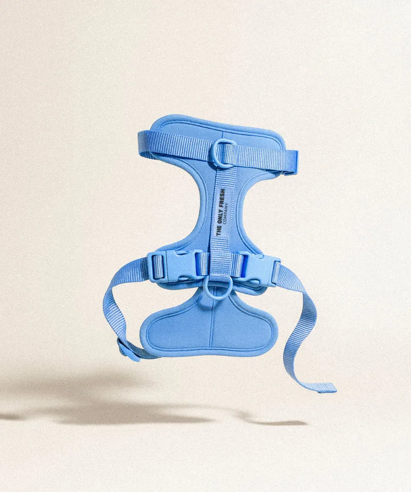 Smart Harness - Blue