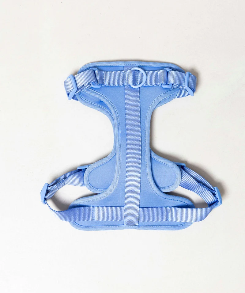 Smart Harness - Blue