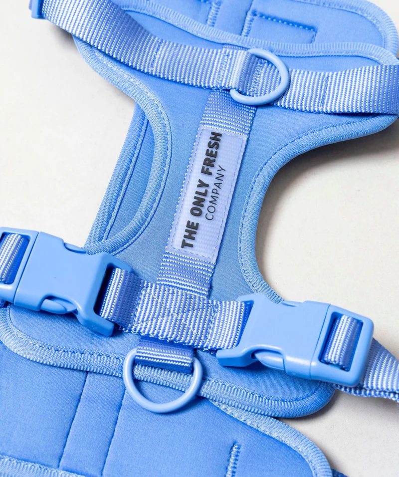 Smart Harness - Blue