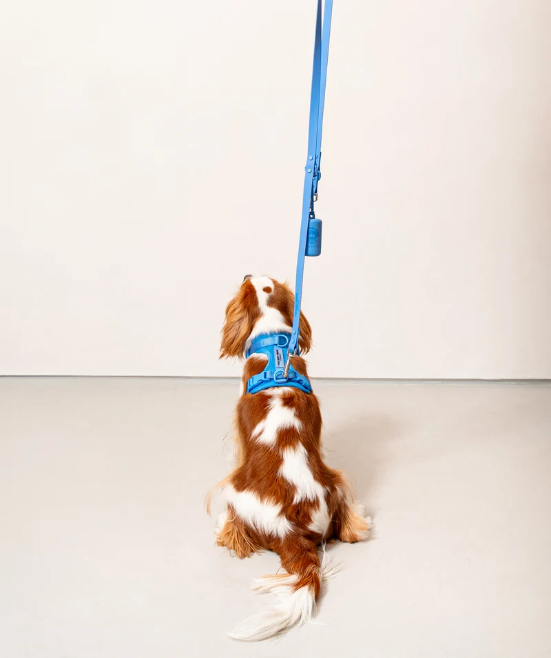 Smart Harness - Blue