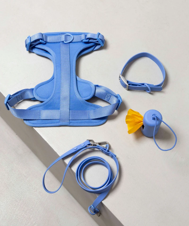 Smart Harness - Blue