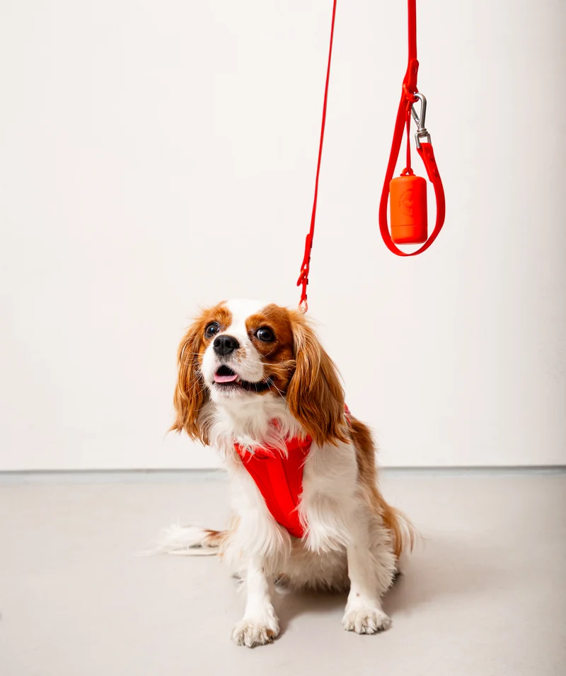 Smart Dog Leash - Red