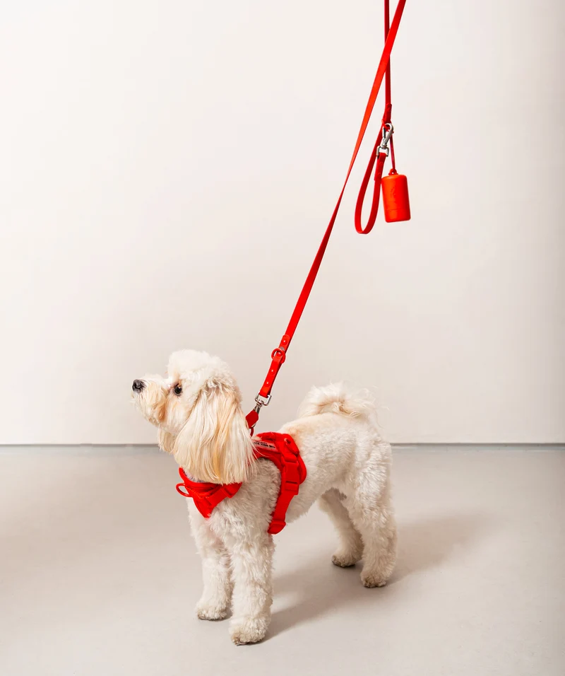 Smart Dog Leash - Red