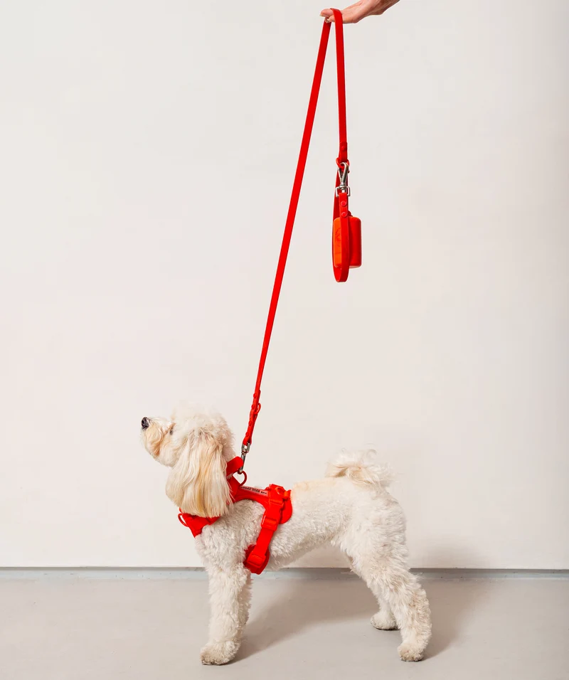Smart Dog Leash - Red