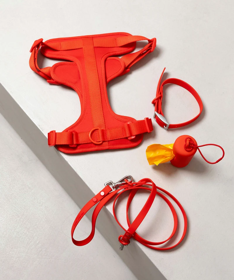 Smart Dog Leash - Red