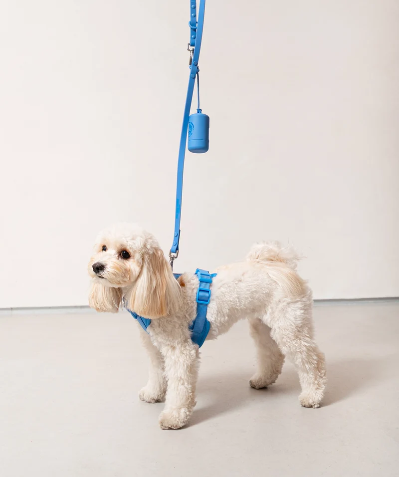 Smart Dog Leash - Blue