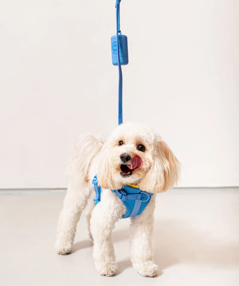 Smart Dog Leash - Blue