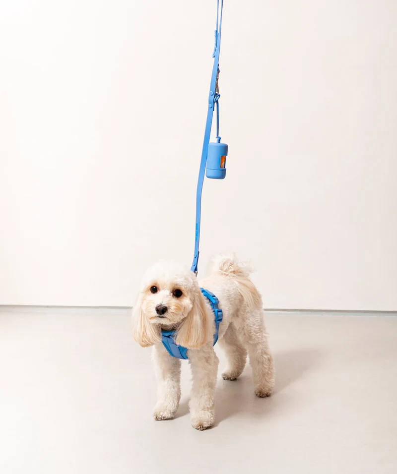 Smart Dog Leash - Blue